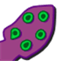 Cuttlefish