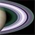Dainty Domains