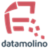Datamolino