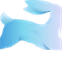 Directus