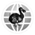 Dodo Browser