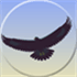 Eagle Mode