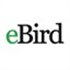 eBird