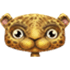 Eyeleo