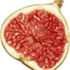 Fig