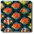 Fish Match