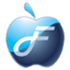 Flash Optimizer