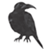 FlokiNET
