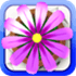 Flower Garden