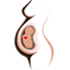 Gestational Age