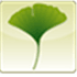 Ginkgo CADx
