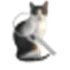 GizmoLoupe