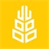 Grain - Invest with Friends
