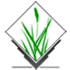 GRASS GIS