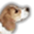 Guarddog