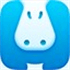 Hippo