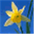 Icon Utils