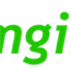 imgin