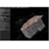 insight3dng