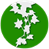 Ivy (Sidebar, Widgets, RSS)