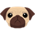 Pug