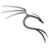 Kali Linux