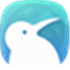Kiwi Browser