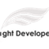Light Developer