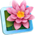 LilyView