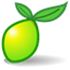 LimeSurvey