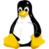 Linux kernel