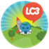 Live Chat 3