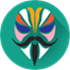 Magisk