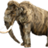 Mammudeck