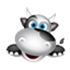 Medocow.com