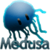 Medusa - Disassembler