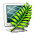 Metasequoia