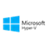 Microsoft Hyper-V Server 2019 logo