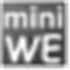 miniWE