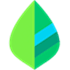 Mint.com