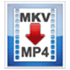 MKV2MP4