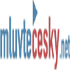 mluvtecesky.net