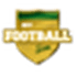 My Football Sim