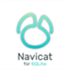 Navicat for SQLite