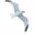 Neor Profile SQL