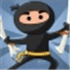 Ninja Essays