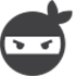 Ninja Reports