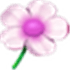 NuKit