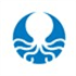 Octopus24