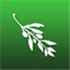 Olive Video Editor